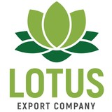 Lotus export