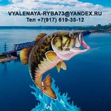 Vyalenaya-Ryba73, продажа вяленной рыбы