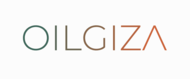 GIZA LLC, Инвестиционное агентство