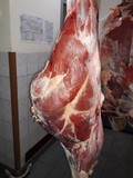 Мясо быка продаем оптом 