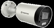 IP Видеокамера уличная цилиндрическая Tantos TSi-Pn453VZ