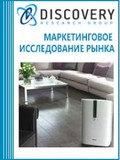 Анализ рынка бытовых очистителей и увлажнителей воздуха в России