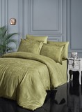 Комплект постельного белья DO&CO Бамбук  жаккард  BAMBOO SUPERIOR SASHA 2 спальный (Евро) цвет фисташковый