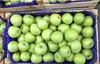 Яблоки оптом (Молдова)