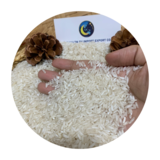 White Rice 504 Organic Cultivation 5% Broken Long Grain White Rice Premium Quality