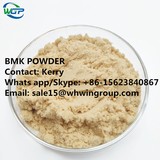 New bmk powder  CAS25547-51-7 