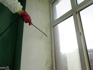 Дезинфекция плесени и грибка квартиры, балкона, ванной, кухни в Москве