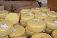 Сыр ГОСТ в ассортименте продаем оптом