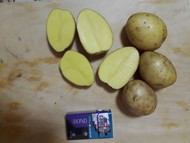 Картофель оптом от 5+ сорт Гала и Джулия