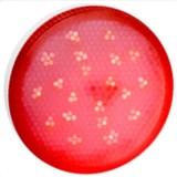 Лампа светодиодная Ecola GX53 8W Красный матов. 28x74 T5TR80ELC