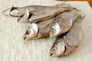 Рыба оптом вяленая, копченая, соленая, пресервы, салаты, котлеты. Производитель