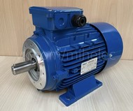 Электродвигатель ABLE MS112M2-4 5.5 кВт 1435 об/мин (5,5 квт 1500 оборотов в минуту)