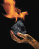 Каменный уголь марок: КО, Г, КСН, ГЖ, БЗ, Д. Фракция 0-300 мм, Казахстан.