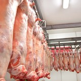 Производство мяса в ассортименте, продажа оптом