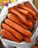 Морковь оптом Норвич