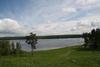 Участок 1,6 га на берегу озера Красавица, Выборгский район, сосны