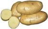 Картофель оптом  от производителя в Чебоксарах