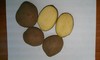 Продаем картофель оптом от производителя в Рязани