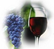 Виноград каберне-совиньон красный