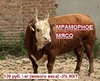 Продаем бычки, мраморное Мясо, огромные 500кг+, выход 65% оптом в Ставрополе