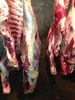 Баранина, говядина, субпродукты оптовая продажа в Краснодаре