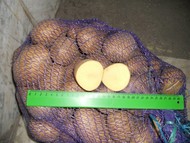 Картофель оптом 3-5 от производителя