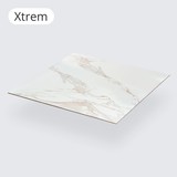 Керамогранит CERAMICOM XTREM 60x60 см (XTREM60x60)
