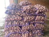Продаем картофель оптом напрямую от производителя