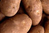 Продаём картошки оптом в Хабаровске с доставкой