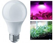 Лампа Jazzway для растений A60 E27 9W 10мкм/с матовая IP20 60x112 .5002395