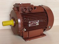 Электродвигатель Rimex Switzerland тип R112М2У3 4 кВт, 2880 об/мин 380V лапы
