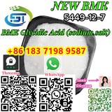 New BMK Glycidic Acid 99% White powder CAS 5449-12-7  Whatsapp+86 18371989587