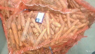Морковь продовольственная оптом от производителя 8 руб/кг
