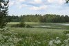 Земельный участок СХН в Выборгском районе Ленинградской области, 2,6 га