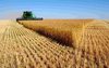 Продажа 3 класса пшеницы с элеватора в Астане