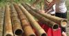 Приглашем Региональных Дилеров в бамбуковый бизнес!!!