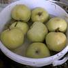 Яблоки моченые оптом в Самаре 2023