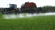Дисулам, сэ (аналог прима, сэ) — гербицид на зерновые и кукурузу