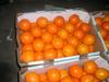 Свежие апельсины "Навель" из Египта 