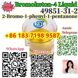 Wholesale price high purity CAS 49851-31-2 Whatsapp+86 18371989587
