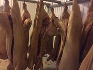 Мясо свинина  оптом из хакасии от производителя.