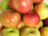 Яблоки Крымские и другие фрукты от производителя оптом