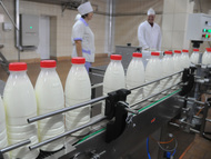 Линия розлива молока и кисломолочных продуктов в ПЭТ бутылку, до 800 б/час