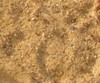 Песок карьерный, речной оптом в Твери