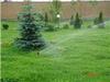 Системы автоматического полива загородных домов, газонов