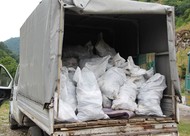 Вывоз и утилизация строительных отходов