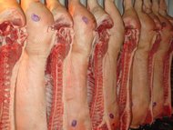 Реализуем мясо свинины оптом по ГОСТ 31476-2012.