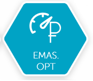 Информационно-аналитическая система EMAS OPT