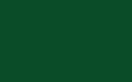 Гладкий лист стальной RAL 6035 перламутрово-зеленый
