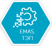 Информационно-аналитическая система EMAS ТЭП